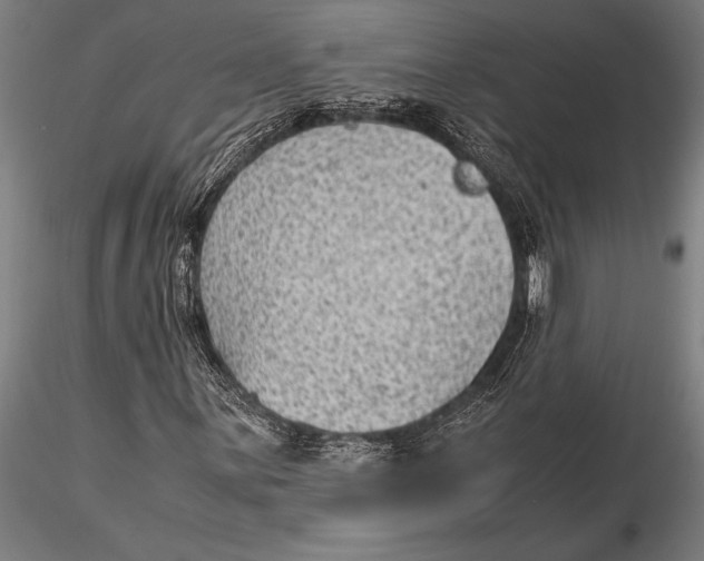 X0000116061059200912111523