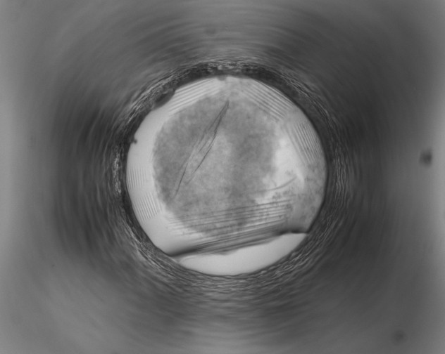 X0000116061060200912111523