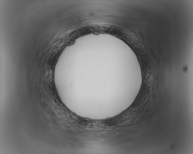 X0000116061061200912111523