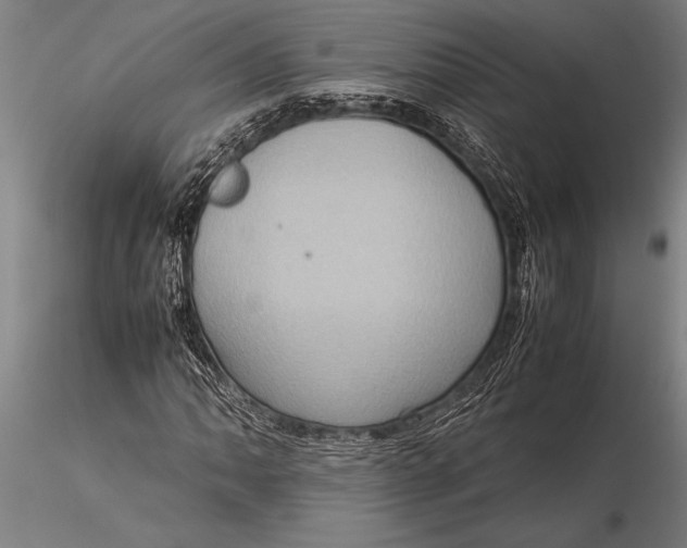 X0000116061062200912111523