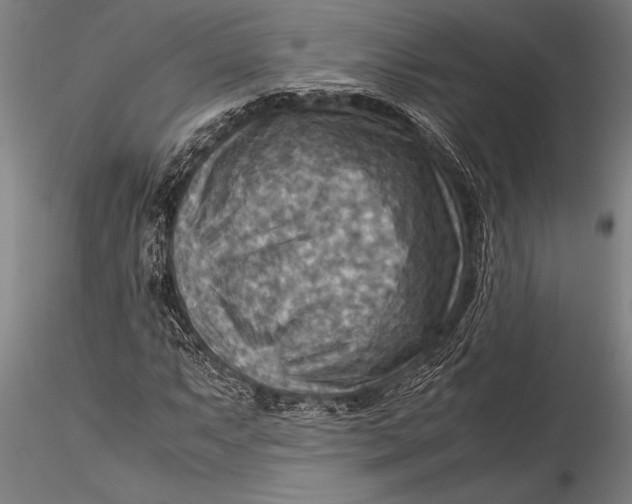 X0000116061063200912111523