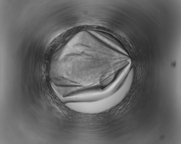 X0000116061064200912111523