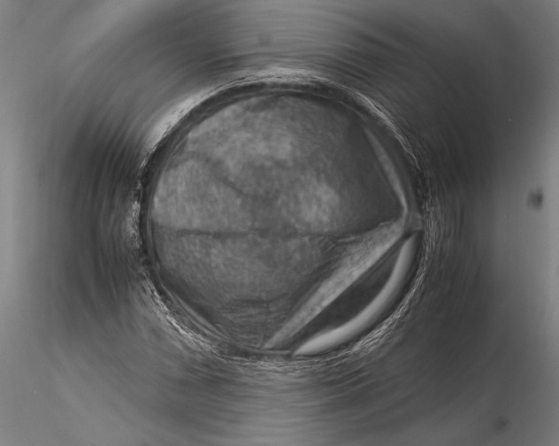 X0000116061066200912111522