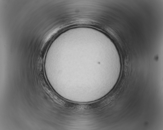 X0000116061067200912111522