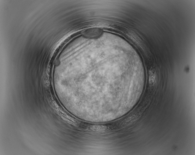 X0000116061068200912111522