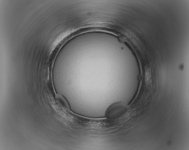 X0000116061069200912111522