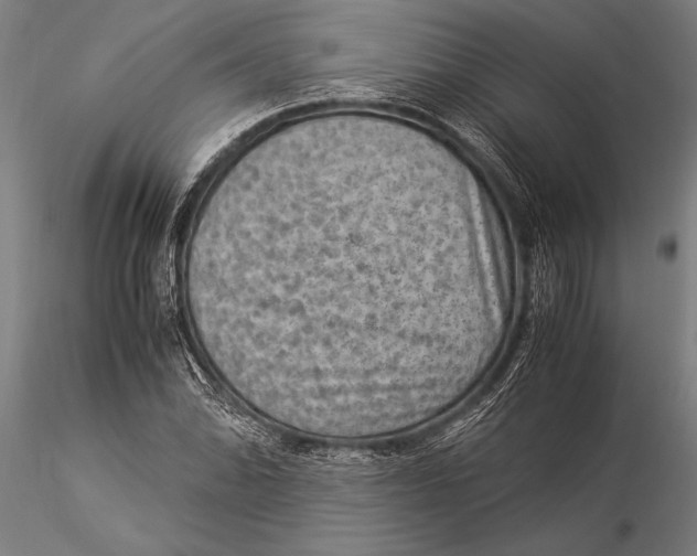 X0000116061070200912111522