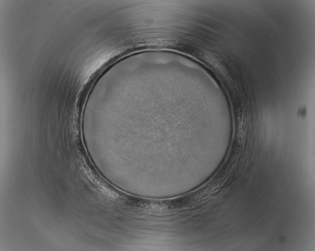 X0000116061071200912111522