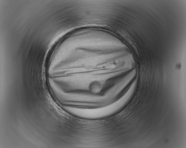 X0000116061072200912111522