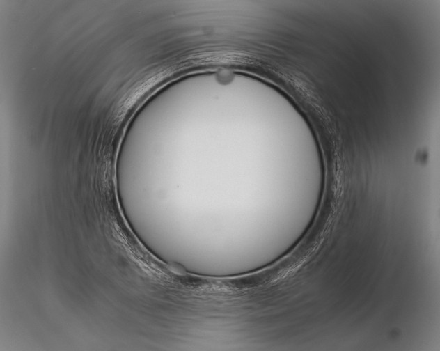 X0000116061073200912111522