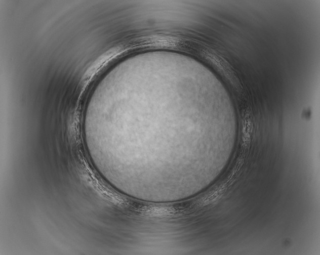 X0000116061074200912111522