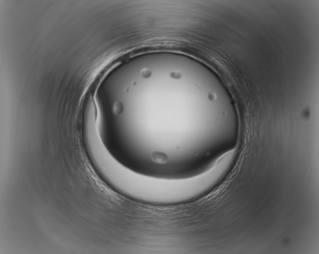 X0000116061075200912111522