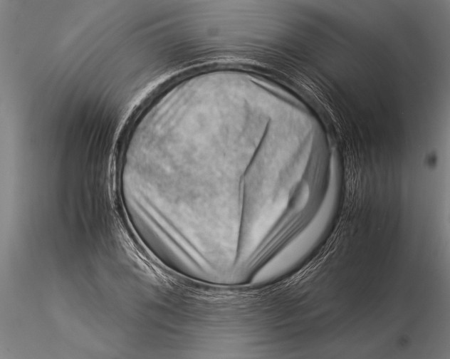 X0000116061076200912111522