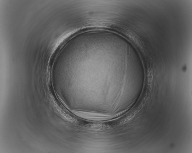 X0000116061077200912111522