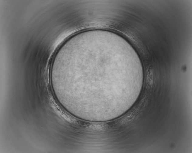 X0000116061078200912111522