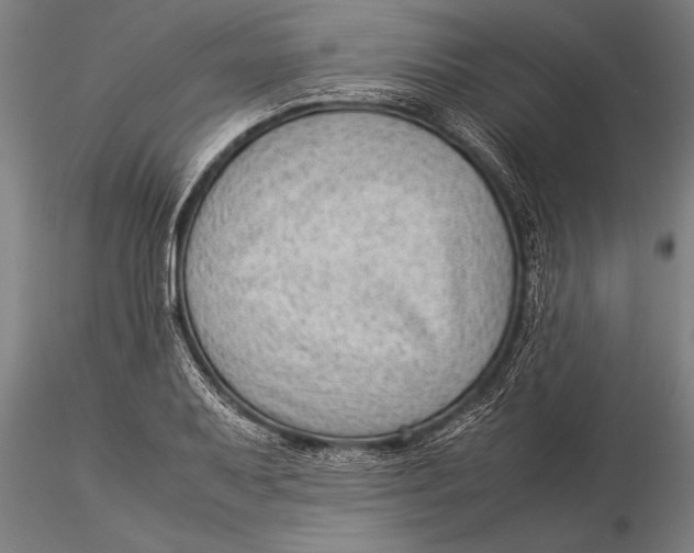 X0000116061079200912111522