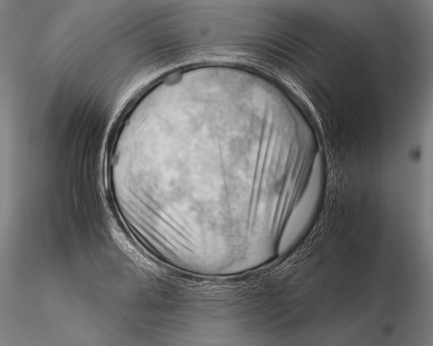 X0000116061080200912111522