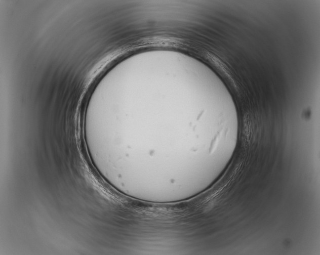 X0000116061082200912111522