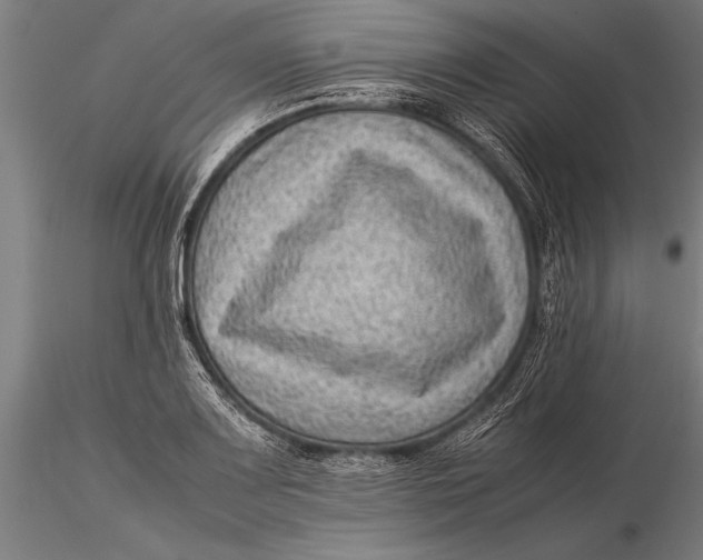 X0000116061083200912111522