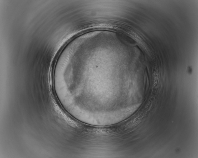 X0000116061084200912111522