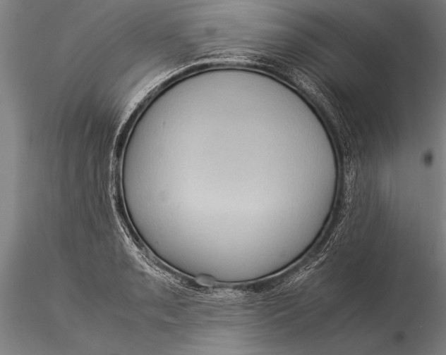 X0000116061085200912111522