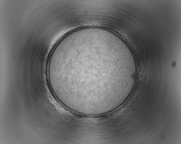 X0000116061086200912111522