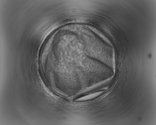 X0000116061087200912111522