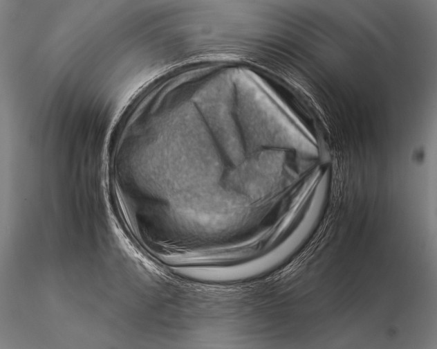 X0000116061088200912111522