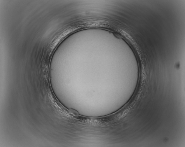 X0000116061089200912111522