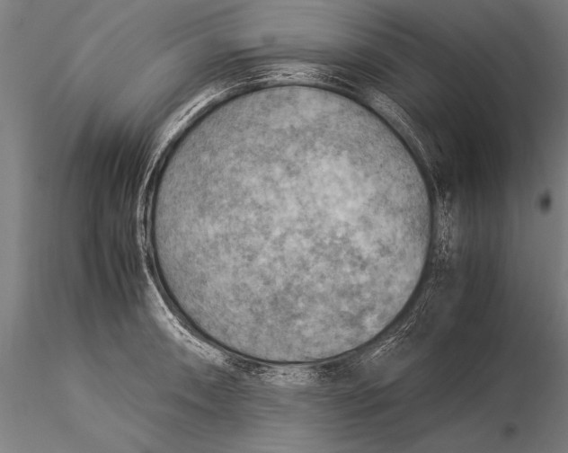 X0000116061090200912111522