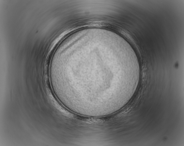 X0000116061091200912111522