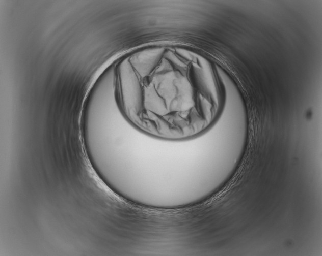 X0000116061092200912111522