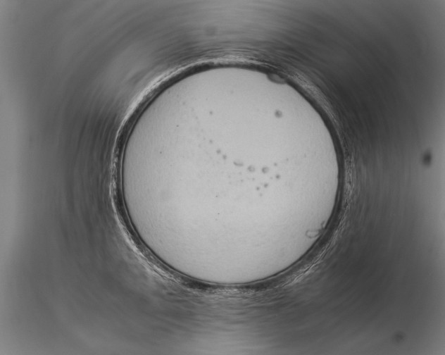 X0000116061093200912111522