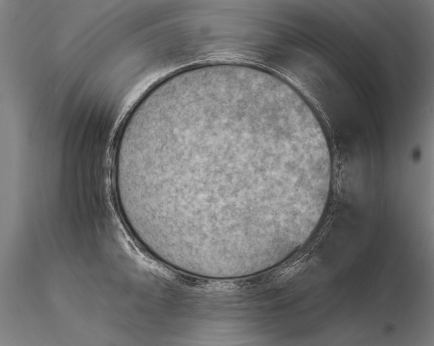 X0000116061094200912111522