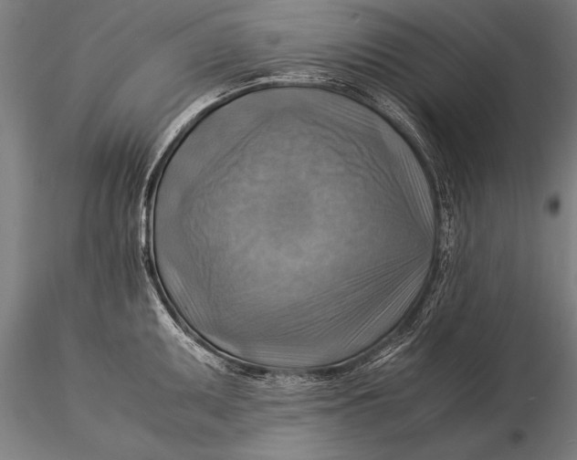 X0000116061095200912111522