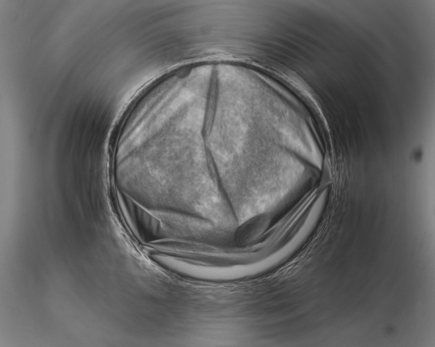 X0000116061096200912111522