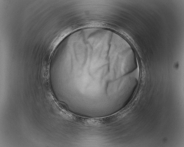 X0000116061097200912111522