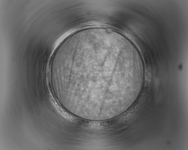 X0000116061098200912111522