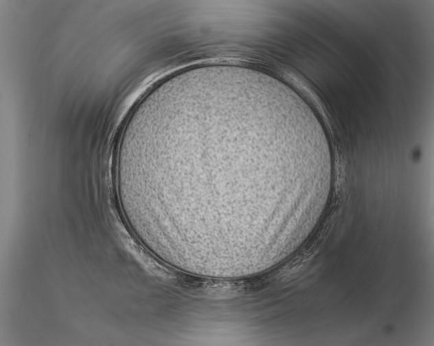 X0000116061099200912111522