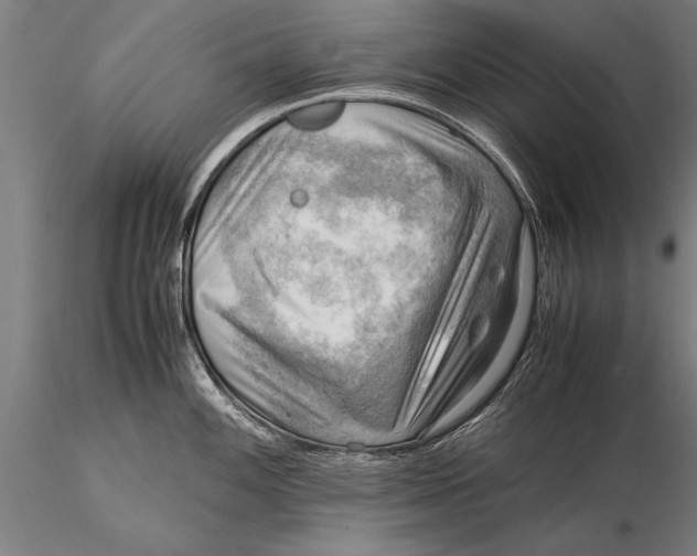 X0000116061100200912111522