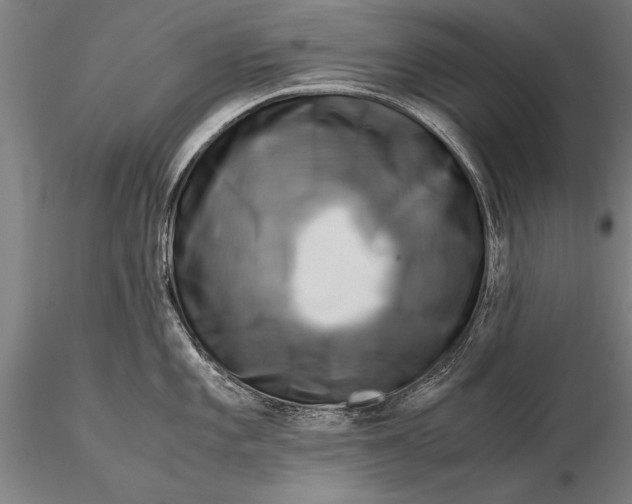 X0000116061101200912111522