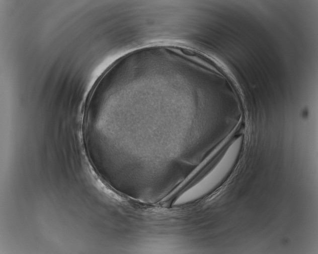 X0000116061102200912111522