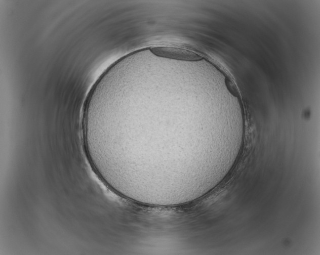 X0000116061103200912111522