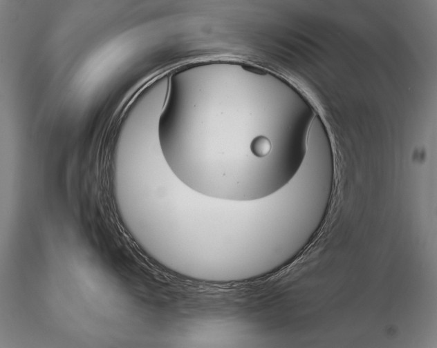 X0000116061104200912111522