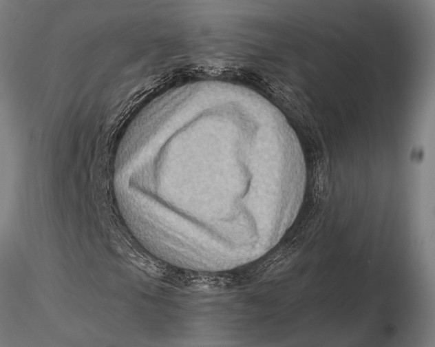 X0000116061105200912111521