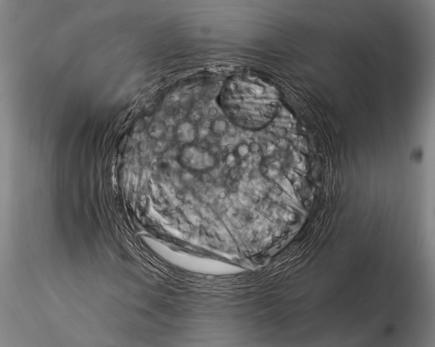 X0000116061106200912111521