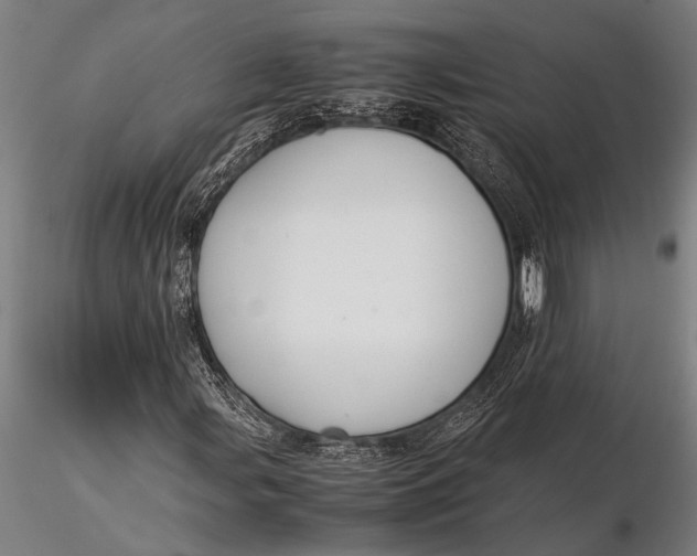 X0000116061107200912111521