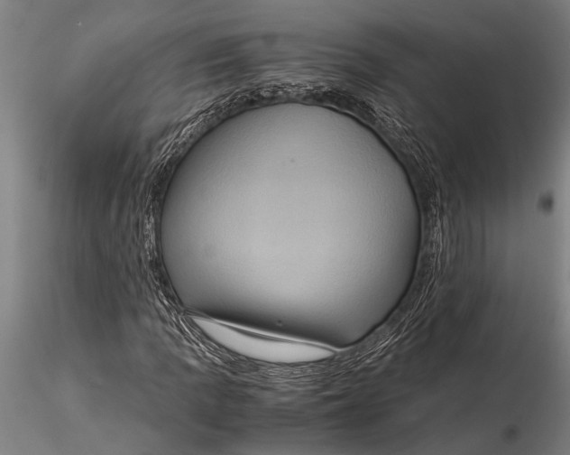 X0000116061109200912111521