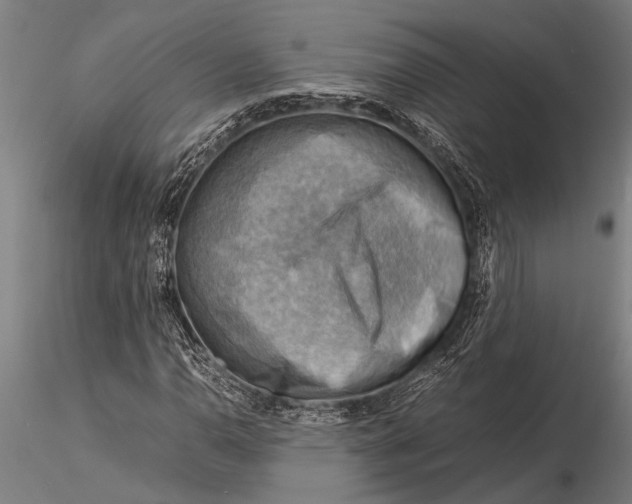 X0000116061110200912111521