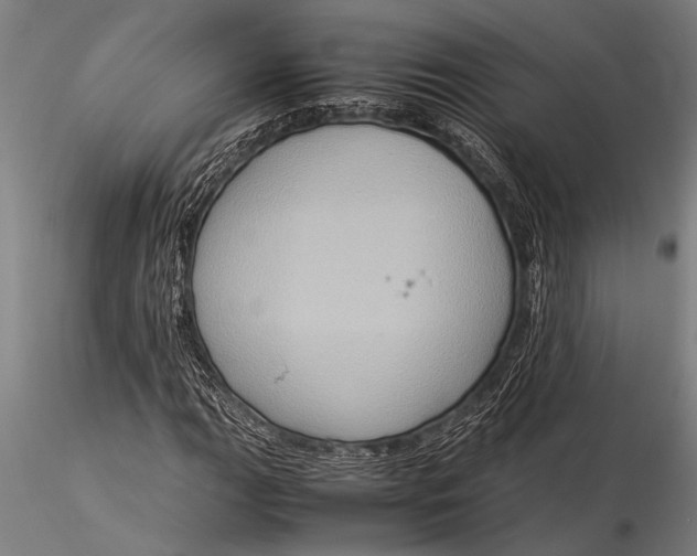 X0000116061111200912111521